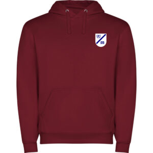 Sudadera capucha Colegio Antanes